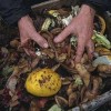 Kitchen Waste Recycling