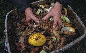 Kitchen Waste Recycling Kitchen Waste Recycling