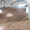 Bio Coal as a Better Energy Alternative
