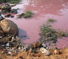 chromium_ tannery